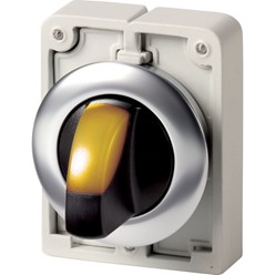 Signaalkeuzeschakelaar, 30mm, RVS, vlak, geel, 2 standen, terugverend